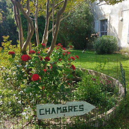 Le Mas D'Icard Saintes-Maries-de-la-Mer Exterior photo
